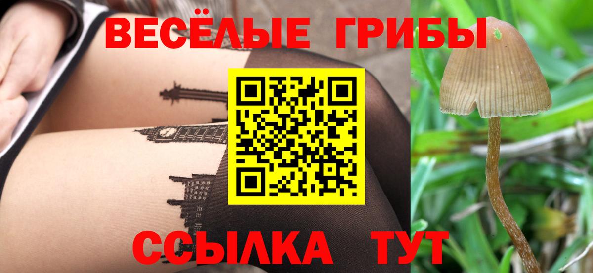 Псилоцибиновые грибы прущие грибы Курск